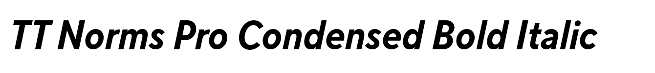 TT Norms Pro Condensed Bold Italic